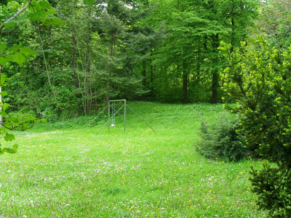 Motel Zur Festwiese Gierstädt Exterior foto